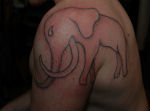 Elefant