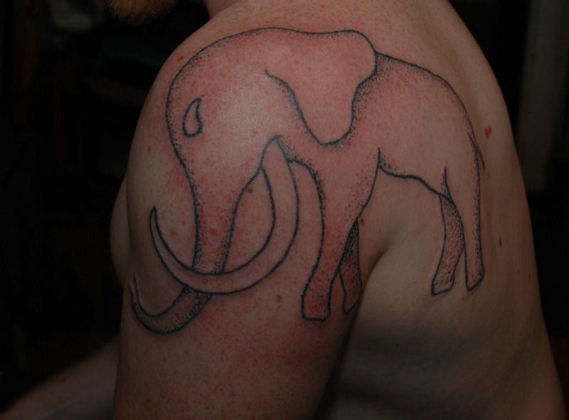 Elefant