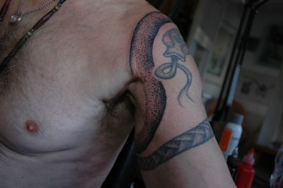 Slangens drage forfra
